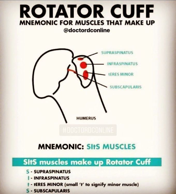 Rotator cuff
