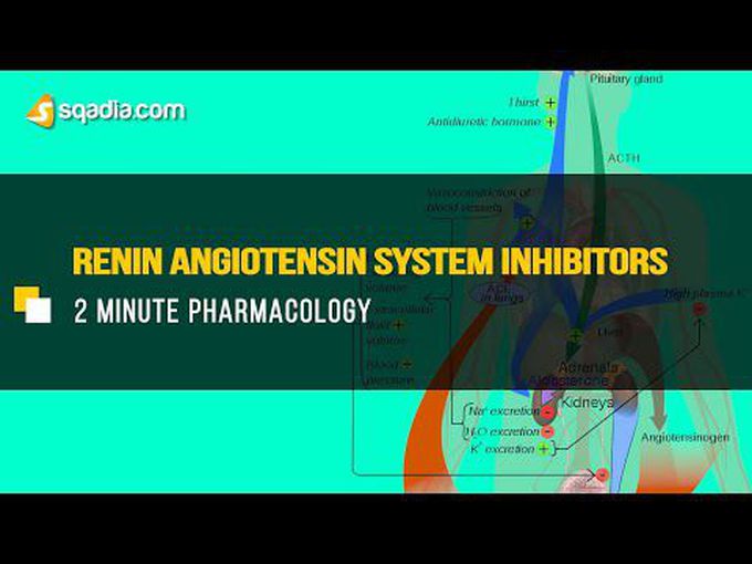 Overview of Renin Angiotensin System (RAAS) Inhibitors- Animation