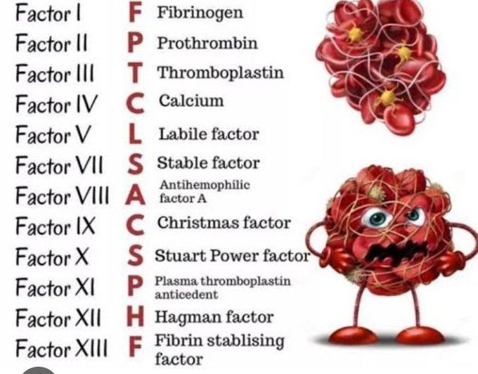 Clotting factors