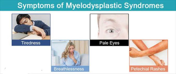 These are the symptoms of Myelodysplastic syndrome