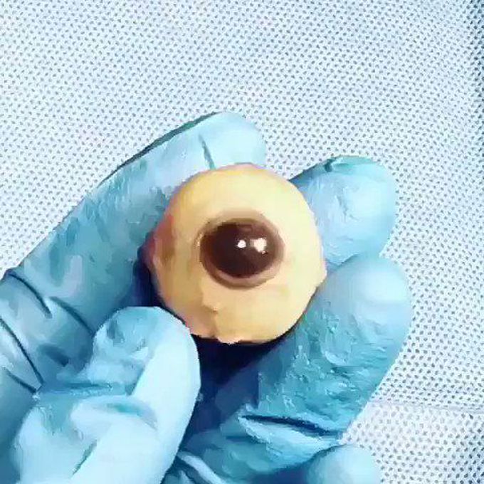 Medical Guide 😷 on Twitter