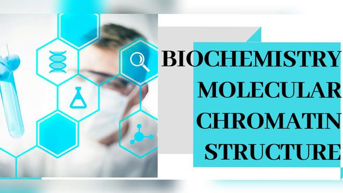 BIOCHEMISTRY | MOLECULAR | CHROMATIN STRUCTURE |