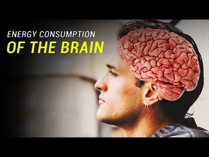 Brain Metabolism