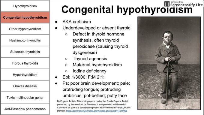 Physiology
