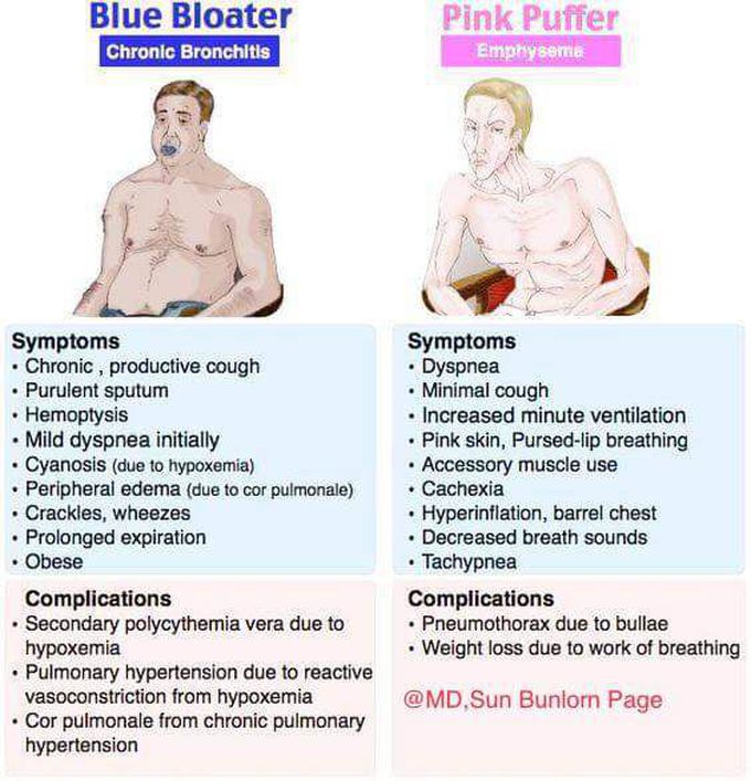 Blue bloter and pink puffer