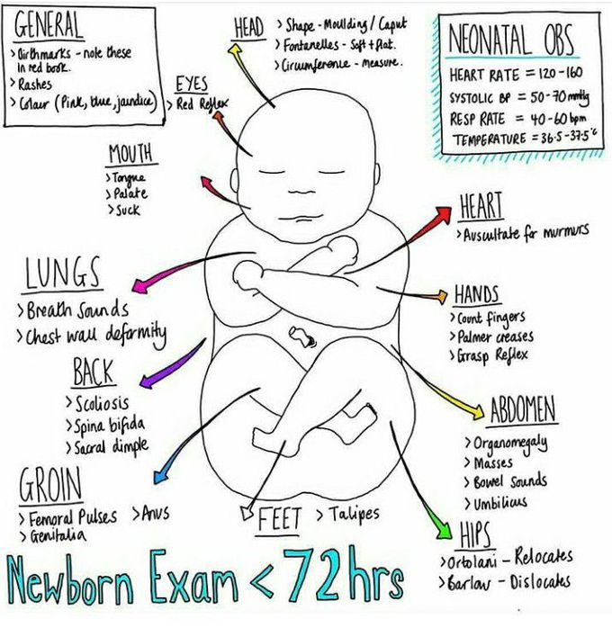 Neonatal examination