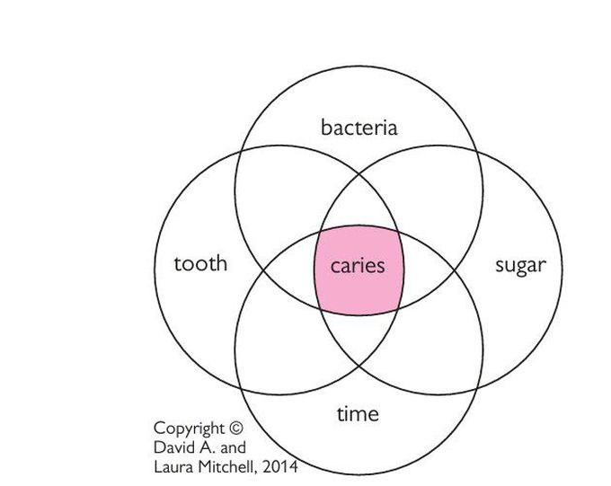 Dental caries etiology