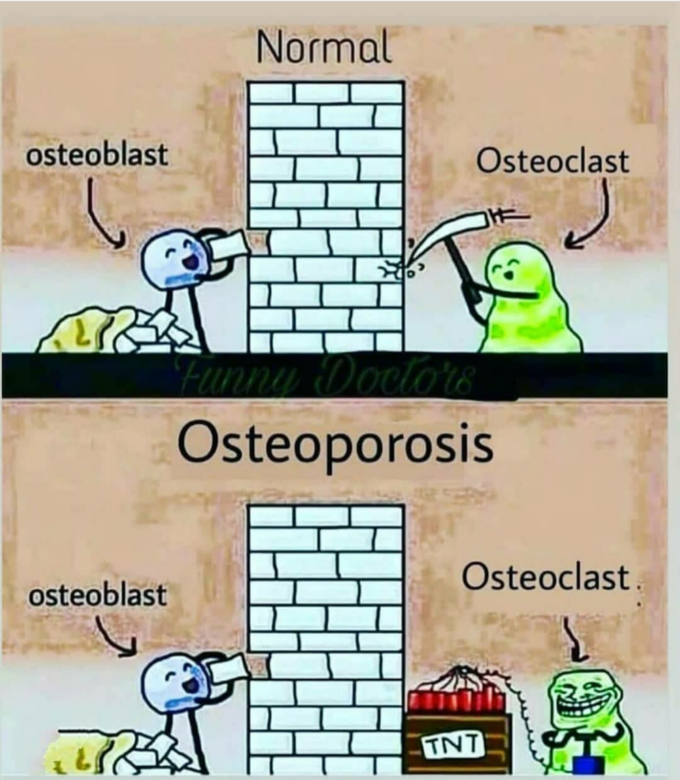 Osteoporosis and the naughty osteoclast 😛😉
