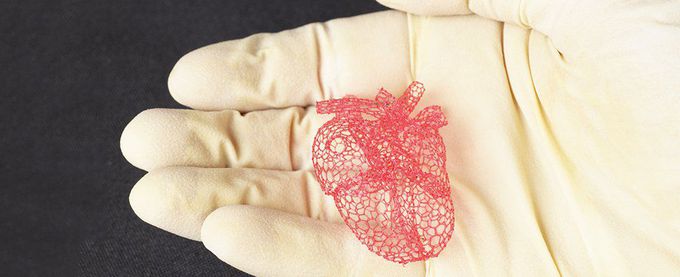 This 3D Printer Can Help Grow Organs With Scaffolding Made Out of Sugar