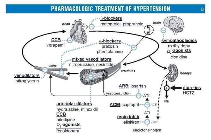 Pharmacology made easy!!