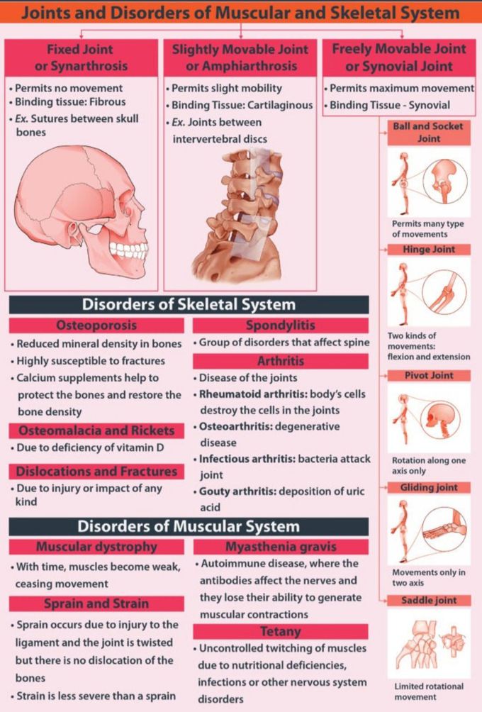 Types of Joints and Disorders of Skeletal and Muscular System