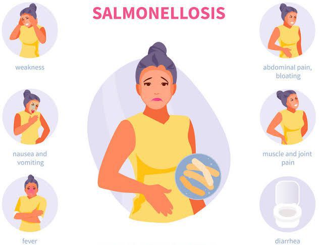 Salmonella Infection / Salmonellosis - MEDizzy