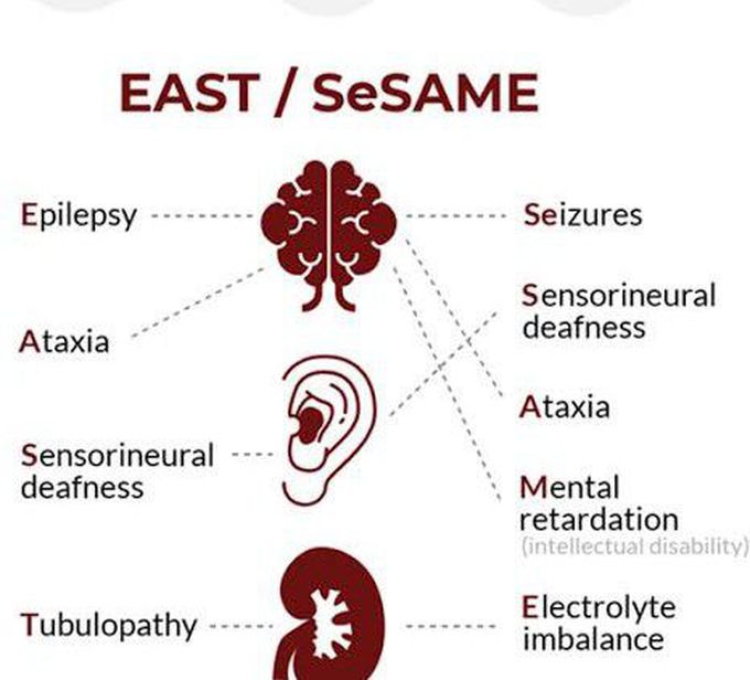 These are the symptoms of EAST syndrome