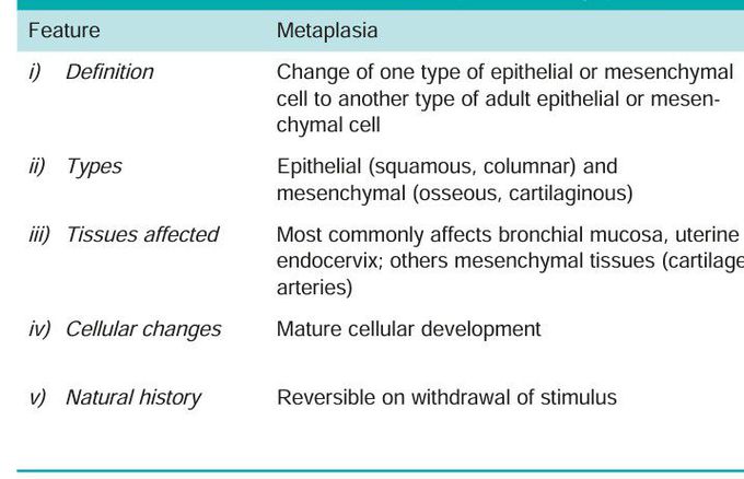 Metaplasia