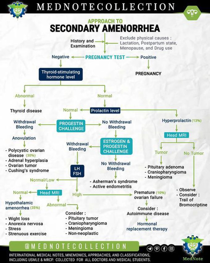 🧠 APPROACH TO SECONDARY AMENORRHEA