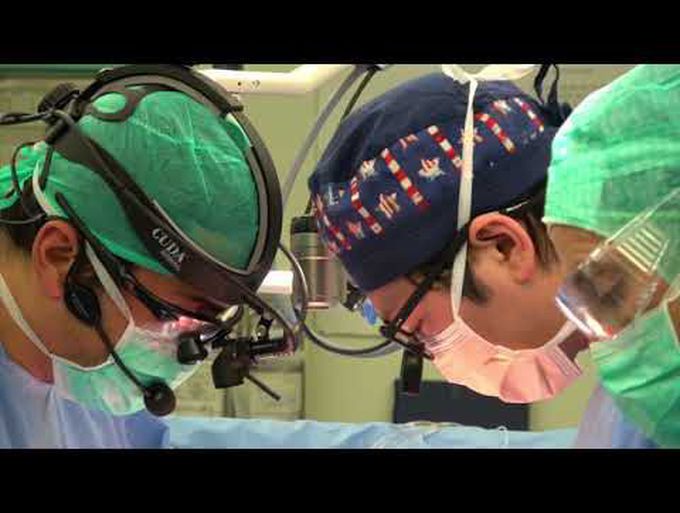 Root Replacement With "French Cuff" Technique: A Challenging Redo Case