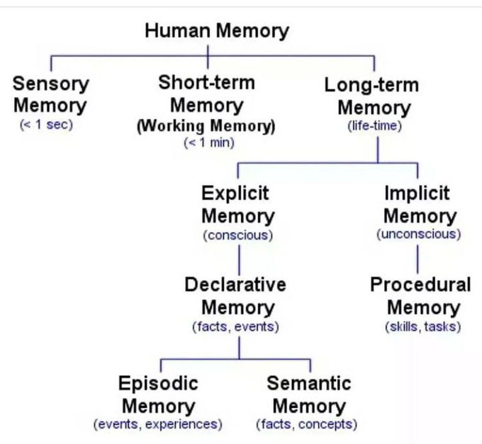 Human Memory