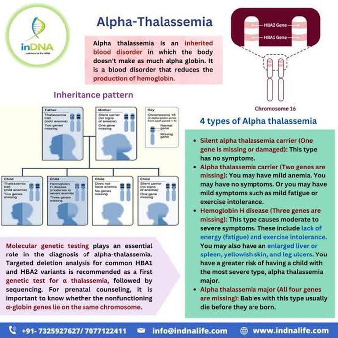 Alpha Thalassemia