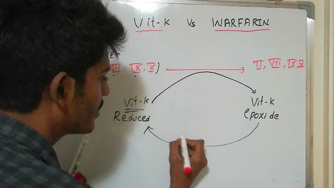 Vit K vs WARFARIN