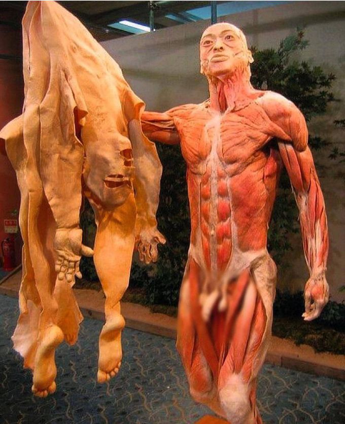 Skin off