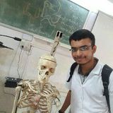 Harsh Bhonsle 