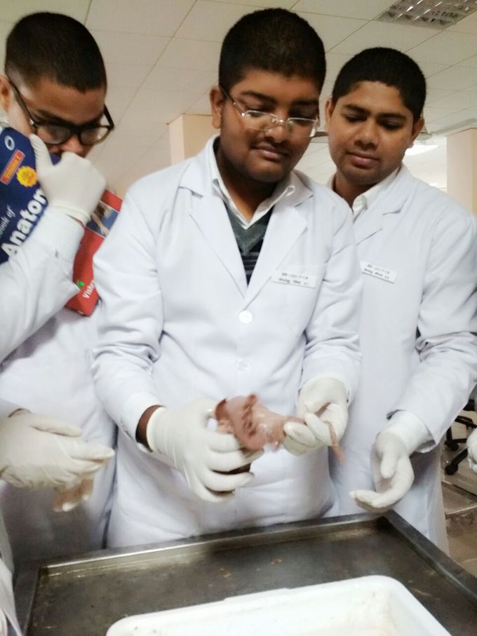 DISSECTION
