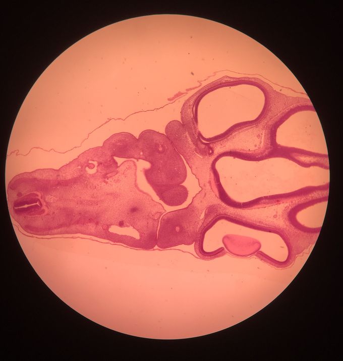 What do you see?