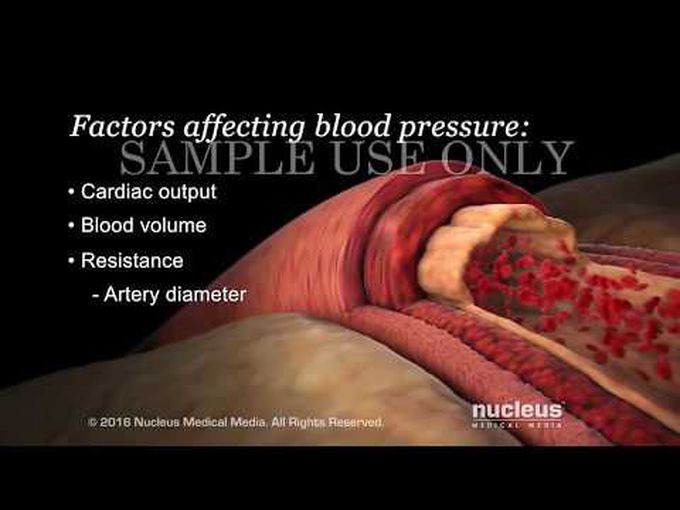 Blood pressure controlling pharmacology