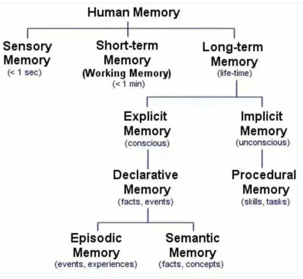 Human types. Types of Memory. Types of Memory of people. Human Memory. Classification of Memory.