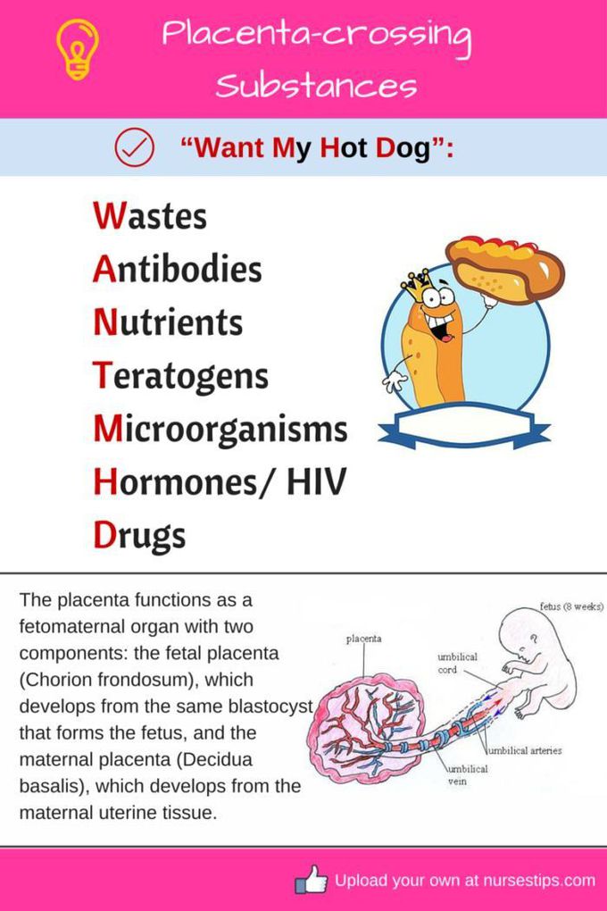 Placenta crossing substances
