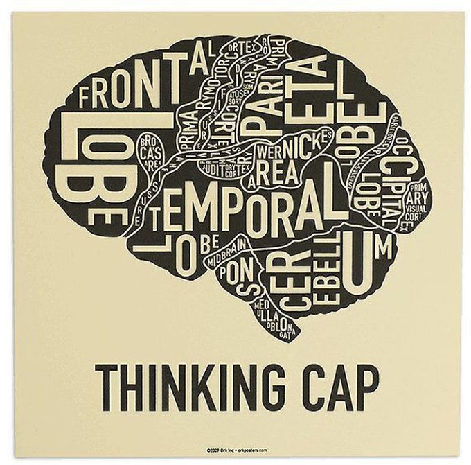 Brain. Thinking cap