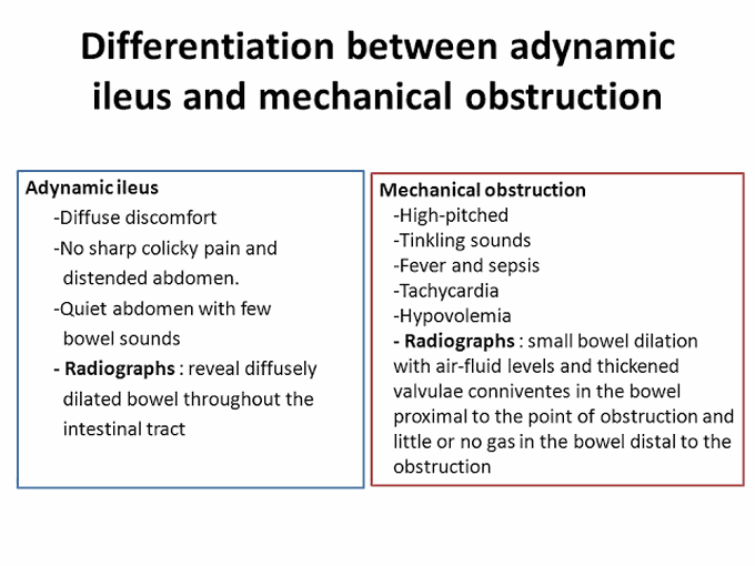 Intestinal obstruction- The clinical exam