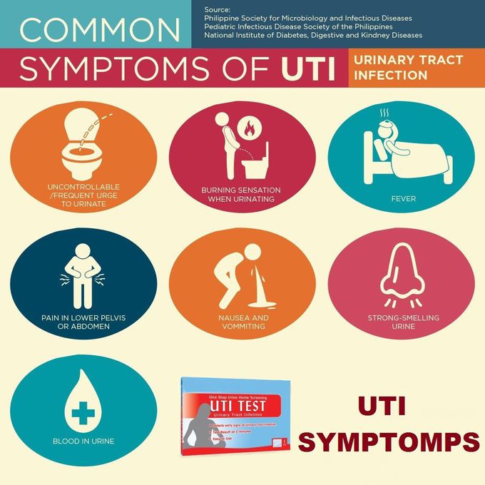 What To Do If You Get A Uti On Vacation