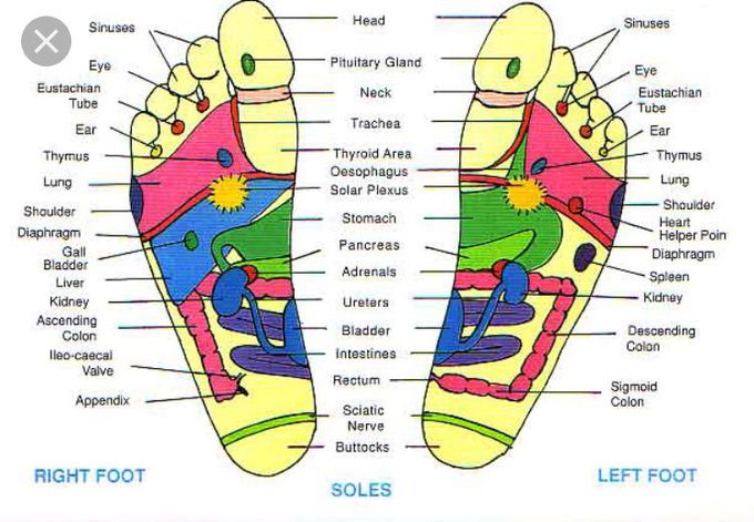 Referred Chart Foot