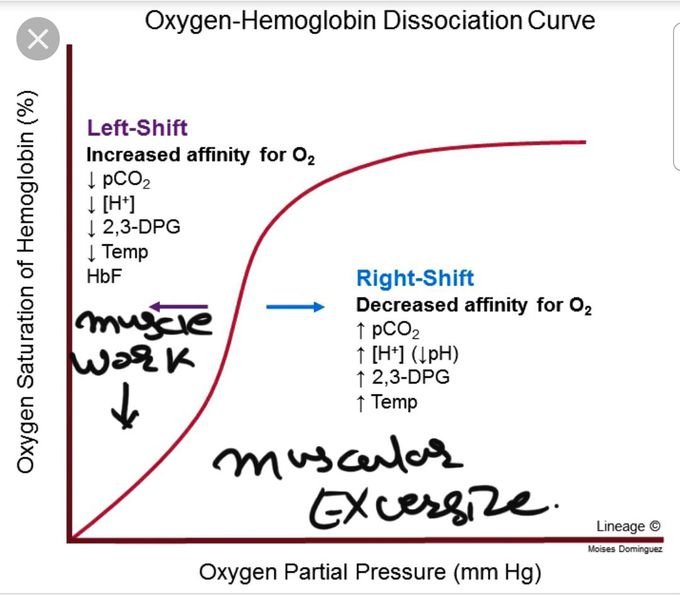 Conditions, which leads shift of the curve