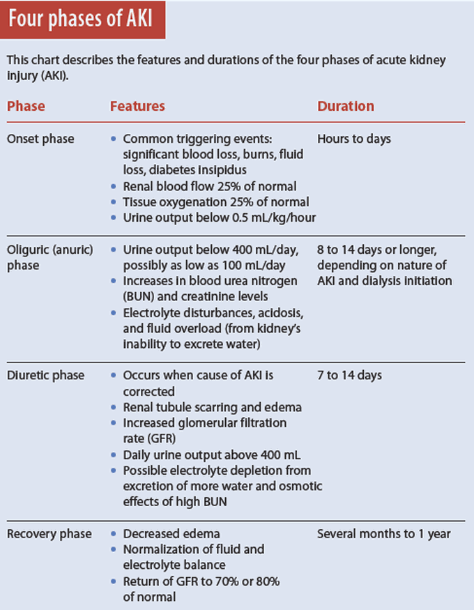 Phases of acute kidney injury