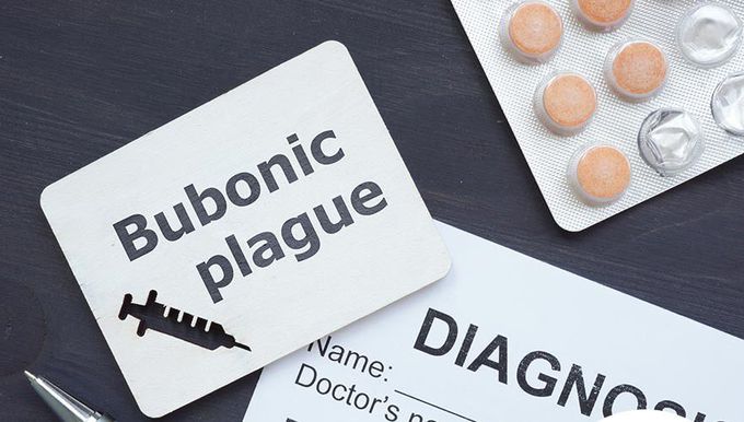 Treatment for Bubonic Plague