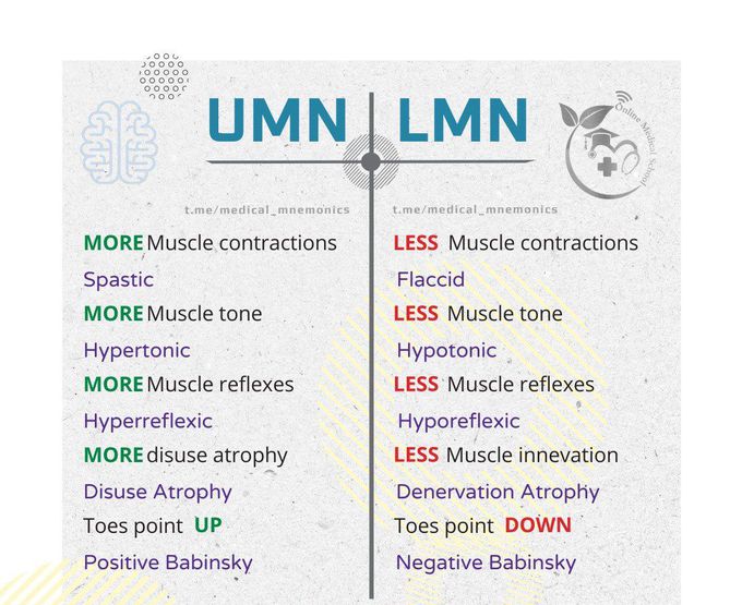 UMN vs LMN ; More & Less