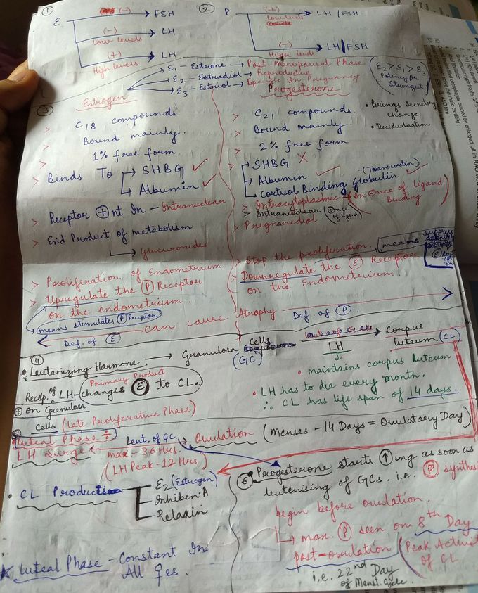 Gynaecology - Basics ( HPO Axis )