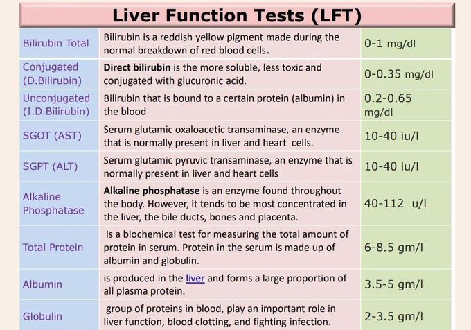 Liver Function Tests