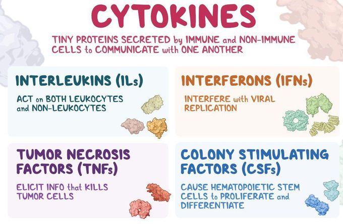 Cytokines