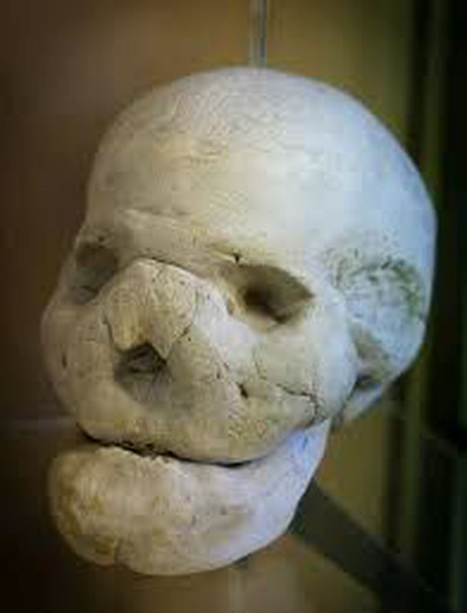 lion face skull