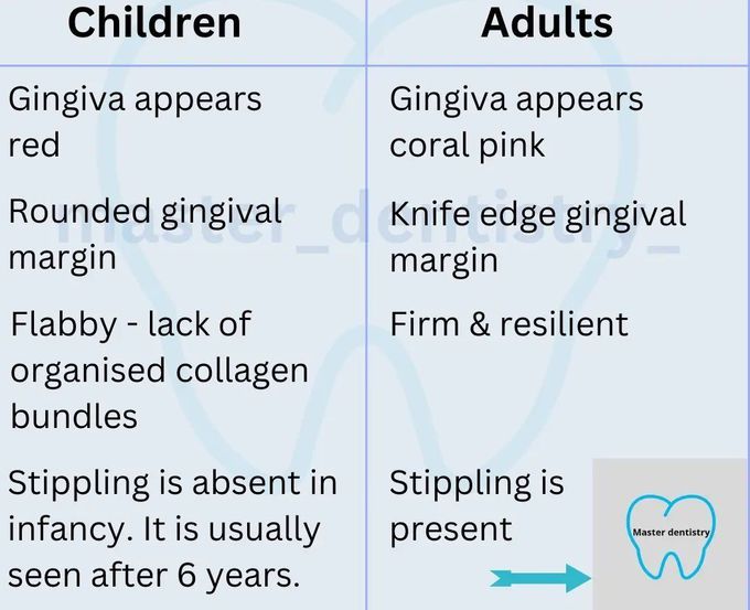 Pediatric Vs Adult Gingiva