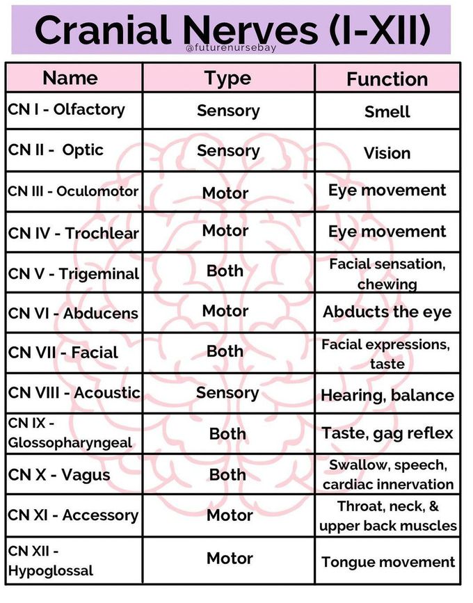 Cranial Nerves- Functions