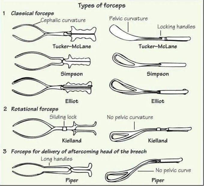 Types of Forceps