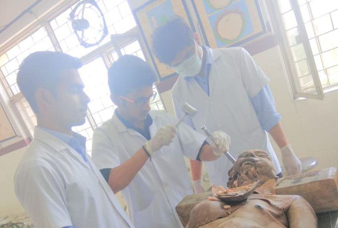 Dissection class memories