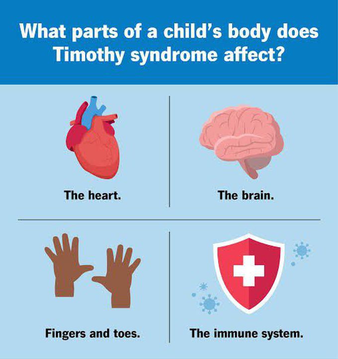 These are the parts which Timothy syndrome affects