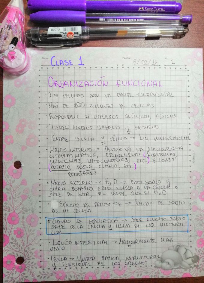 Fisiology notes / Apuntes de fisiología 😮