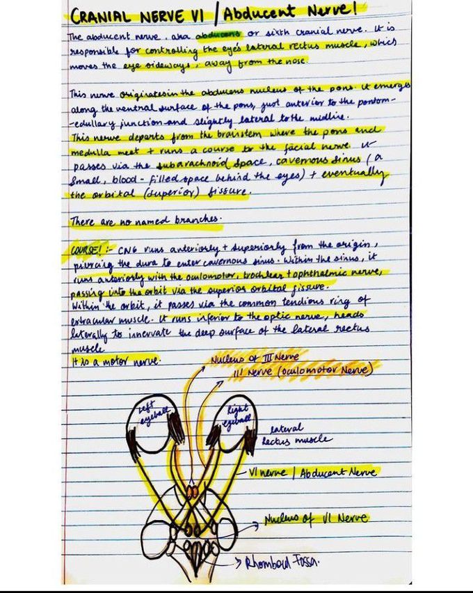 Abduscent nerve