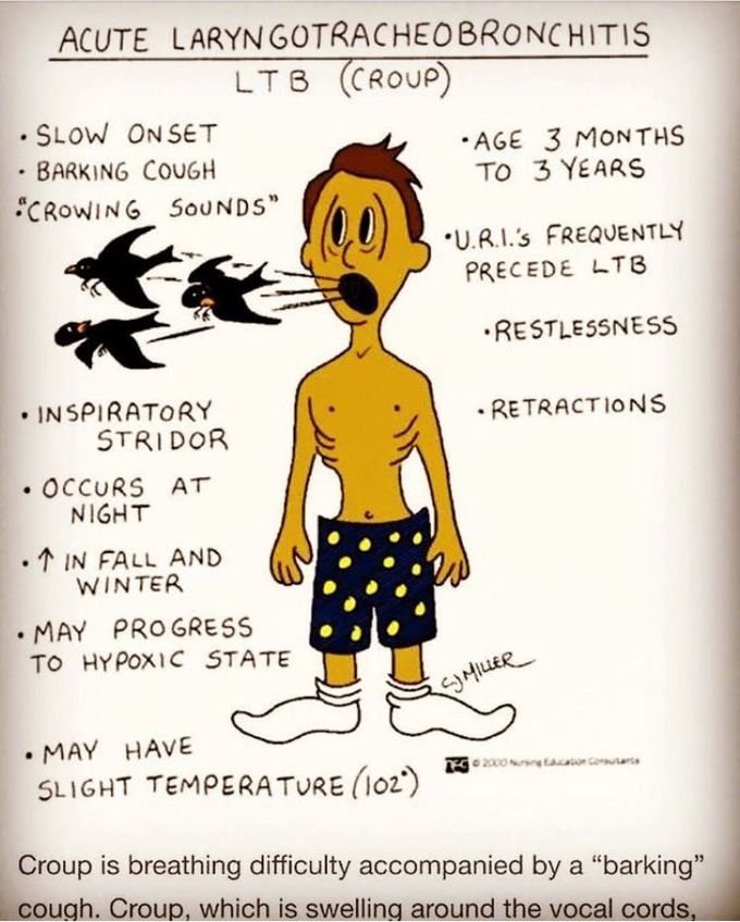 Acute Laryngotracheobronchitis - MEDizzy